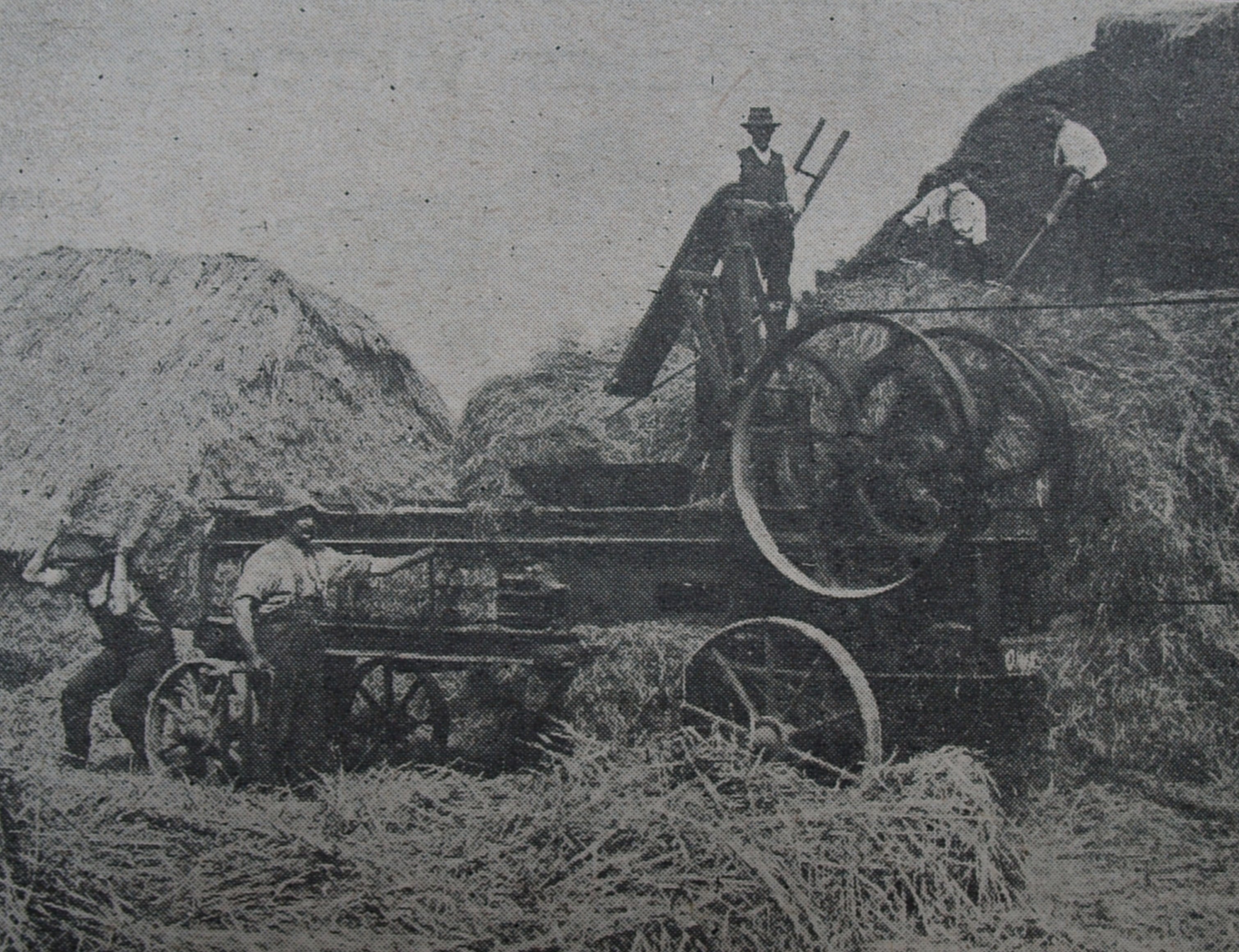 Steam hay presser Dean's Ham